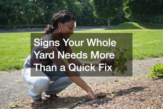 Signs Your Whole Yard Needs More Than a Quick Fix